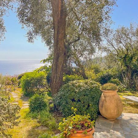 Villa L'Uliveto Di Santa Con Piscina Santa Margherita Ligure Exterior foto
