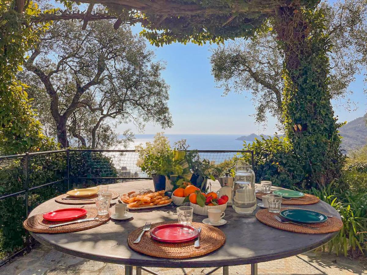 Villa L'Uliveto Di Santa Con Piscina Santa Margherita Ligure Exterior foto
