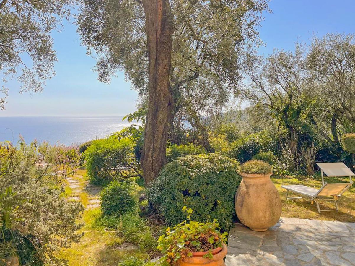 Villa L'Uliveto Di Santa Con Piscina Santa Margherita Ligure Exterior foto
